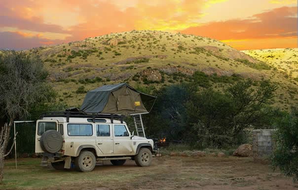 Expeditions into the Wild