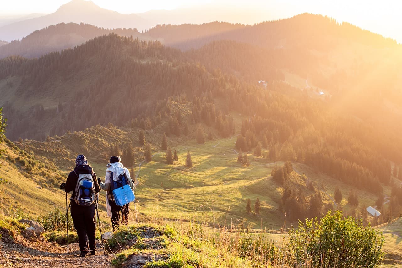 Walking Safaris